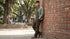 Men's Jeans MJ-213